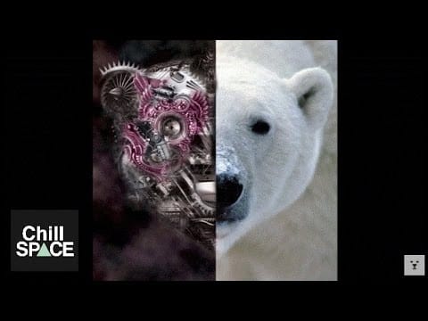 Whitebear (2) — Whitebear - Inanimate Incarnate (Glitch, Experimental, Bass)