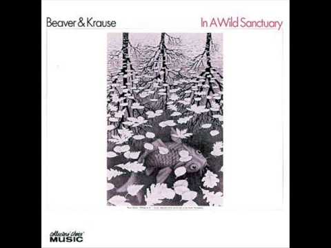 Beaver & Krause — Beaver & Krause - Sanctuary