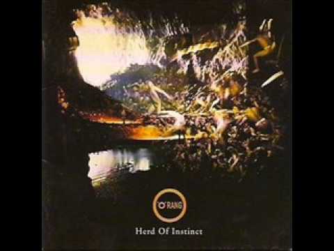 .O.Rang — "Orang" - Herd of Instinct - O Rang