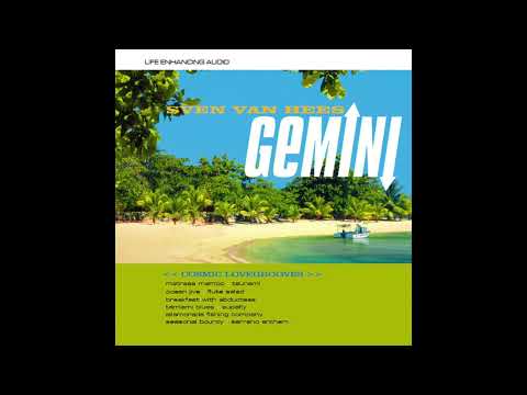 Sven Van Hees — Sven Van Hees - Tsunami (1999)