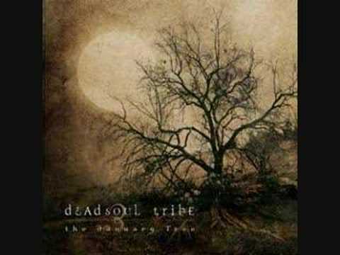 Deadsoul Tribe — Dead soul tribe- Spiders and flies