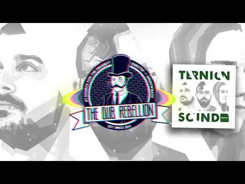 Ternion Sound — Ternion Sound - Yellow & Grey (VIP)