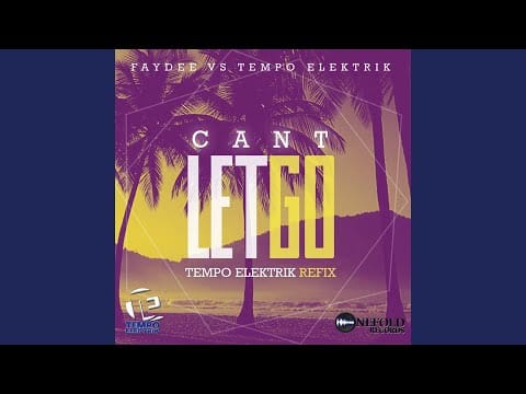 Faydee — Can't Let Go (Tempo Elektrik Refix)