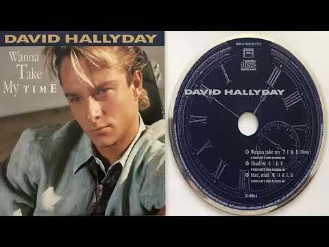 David Hallyday — David Hallyday Wanna take my time (Remix) (1989) (CD Maxi Single)