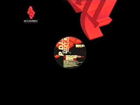 Provenzano DJ — P_DJ feat. Lizzy B. - Funny Day (DJ Seleco & Dance Rocker 2K11 Remix)