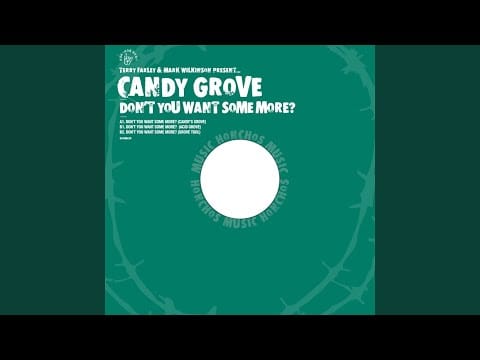 Terry Farley — Don't You Want Some More? (Candy's Grove)