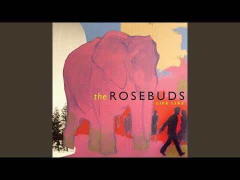 The Rosebuds — Nice Fox