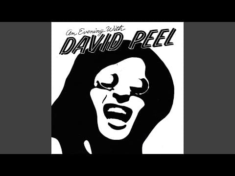 David Peel & The Lower East Side — Rock And Roll Rip-Off (Live)