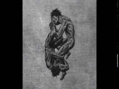 Deathspell Omega — S.V.E.S.T. - Et La Lumière Fut, Comme Un Coup De Scalpel