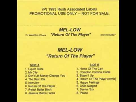 Mel-Low — Mel-Low - Child Support (1993)
