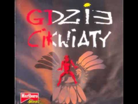 Gdzie Cikwiaty — Gdzie Cikwiaty - 03 - Jestem elektryczny