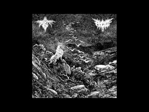 Ancst — Ancst / Ast - split LP FULL ALBUM (2015 - Blackened Crust / Black Metal)
