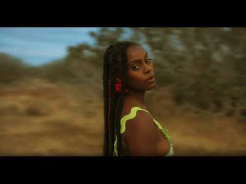Fana Hues — Fana Hues - Wild Horses (Official Lyric Video)