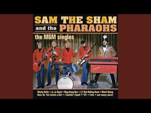Sam The Sham & The Pharaohs — Ring Dang Doo
