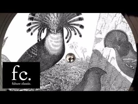 Anna Lunoe — Anna Lunoe & Flume - I Met You (DJ HMC Dirty House Dub)