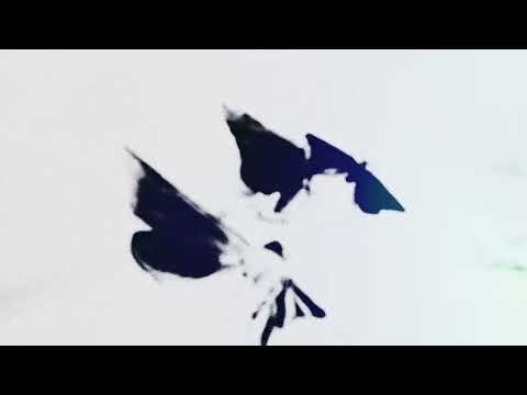 The WAEVE — Moth To The Flame (Official Visualiser)