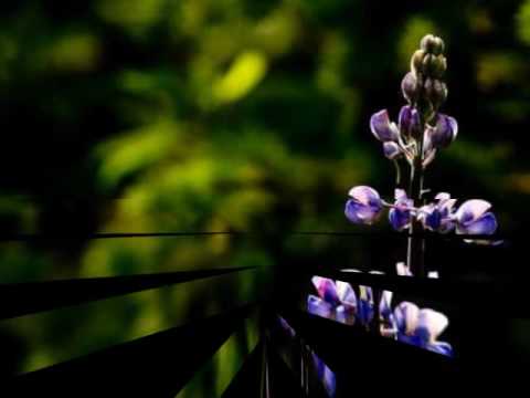 Marjorie Biondo — MARJORIE BIONDO - SII CON ME