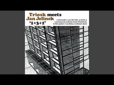 Jan Jelinek — Vibes_Pulse