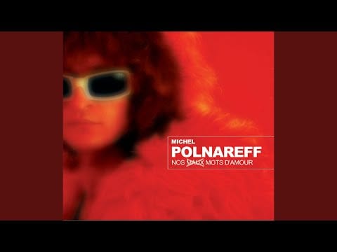 Michel Polnareff — Ame câline