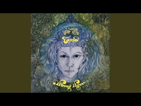 Turid — Problemvisa