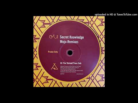 Secret Knowledge — Secret Knowledge - Mojo (The Stained Trees Dub)