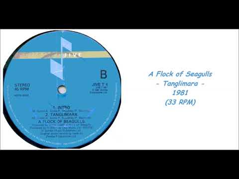 A Flock Of Seagulls — A Flock of Seagulls - Tanglimara - 1981 (33 RPM)