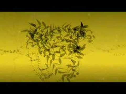 Milosh — Milosh- You make me feel