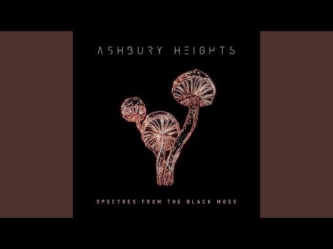Ashbury Heights — Spectres from the Black Moss
