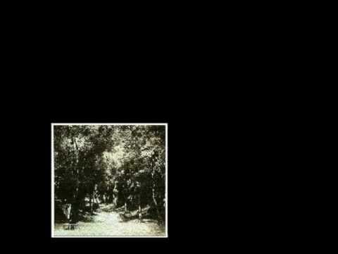 Martial Canterel — Martial Canterel - Forms