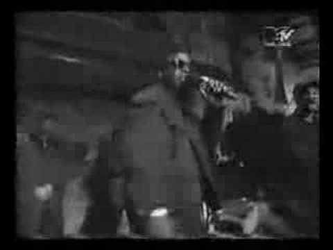 Tim Dog — Tim Dog - Bronx Nigga (Strictly Underground Funk  remix) [vls version]