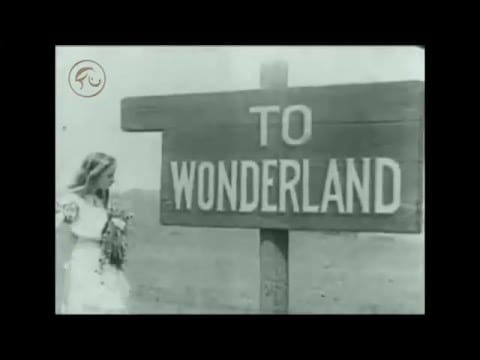 Born For Bliss — Born For Bliss - White Rabbit (Wonderland Mix) - Jefferson Airplane cover