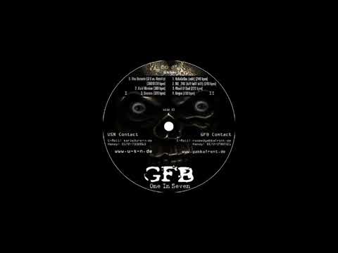 Gabba Front Berlin — GFB - Acid Warrior