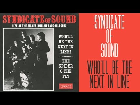 Syndicate Of Sound — Syndicate Of Sound - Who'll Be The Next In Line