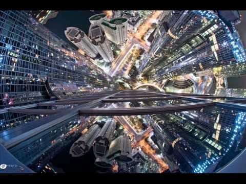 Psittacines — Psittacines - Color Mutate