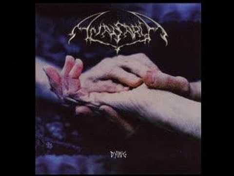 Anasarca — Anasarca - Anopheles