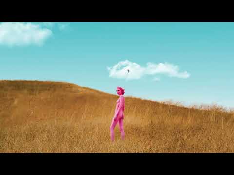 The Regrettes — Homesick
