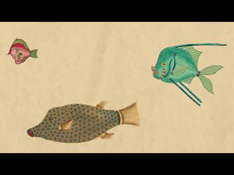 Cosmo Sheldrake — Cosmo Sheldrake - Come Along