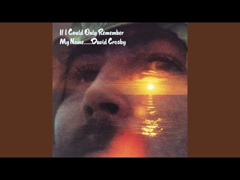 David Crosby — Laughing
