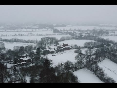 Zoi!s — Zoi!s - Der große Untergang / Das Problem