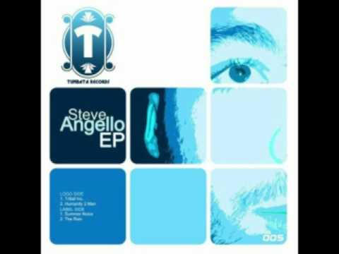 Steve Angello — Steve Angello - Tribal inc.