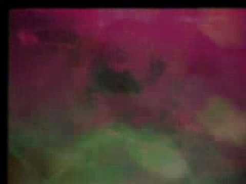 Sigur Rós — SIGUR ROS - REFUR
