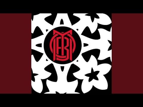 Mission of Burma — 2wice