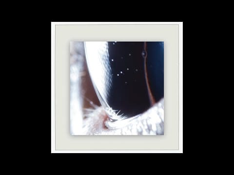 Roly Porter — Roly Porter - 4101