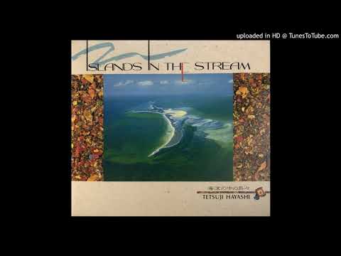 Tetsuji Hayashi — Tetsuji Hayashi - Rain (1990)