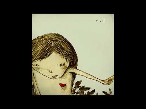 Wixel — Wixel - Zaventem