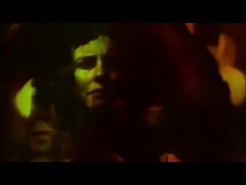 Whyte Horses — Feels Like Something's Changing