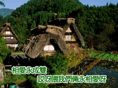 Patrina — 凌霄&白蒂娜 ~ 傻瓜與野丫頭
