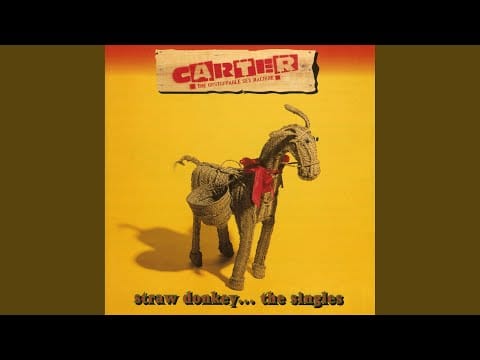 Carter the Unstoppable Sex Machine — A Sheltered Life