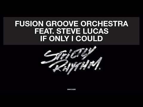 Fusion Groove Orchestra — Fusion Groove Orchestra Feat. Steve Lucas - If Only I Could (Liem Remix) [Official Audio]