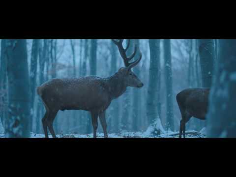 Laura Marling — Laura Marling - What He Wrote / OST Testről és lélekről (Music video)